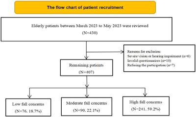 Association between personality traits and concerns about falling among older patients: the mediating role of subjective age